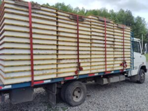 WhatsApp Image 2024-11-05 at 19.30.39 (1)